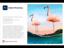 Adobe Photoshop 2021 22.5.0.384